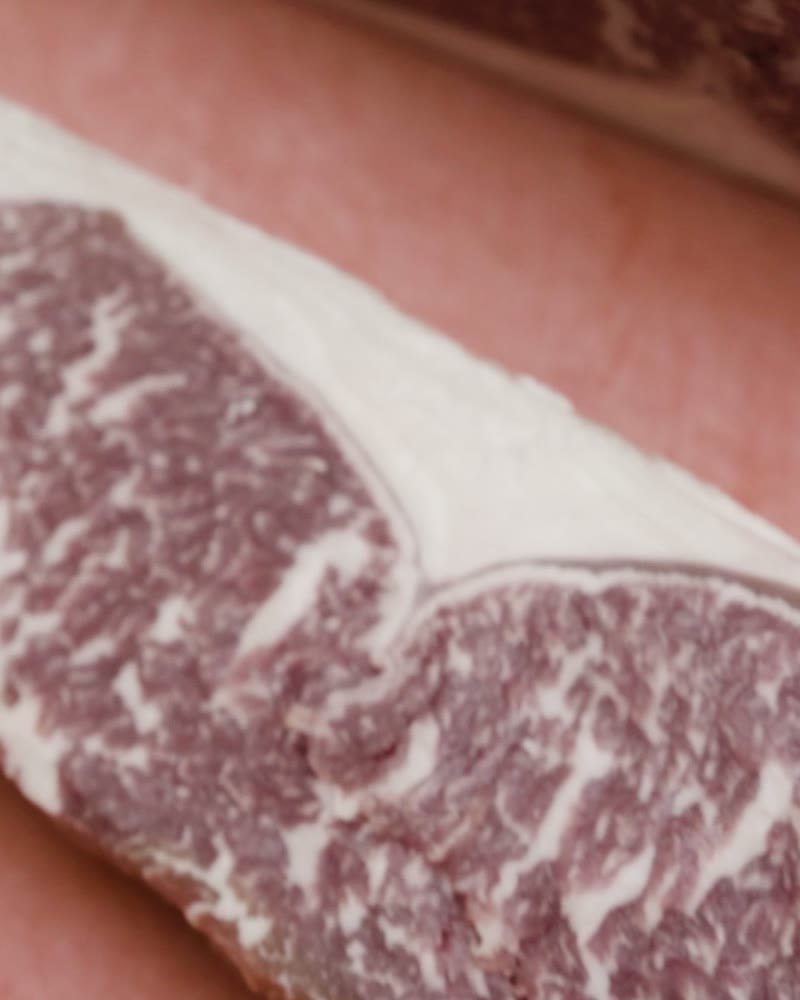 Art culinaire · Gastronomie